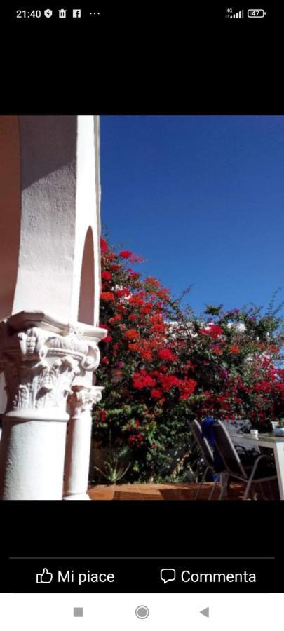 Bed and Breakfast Ocean House Granadilla De Abona Zewnętrze zdjęcie